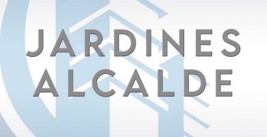 tablaroca guadalajara